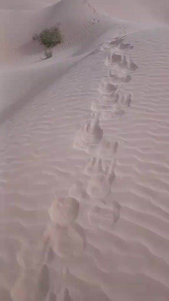TikTok video thumbnail by a.r.o.r.i