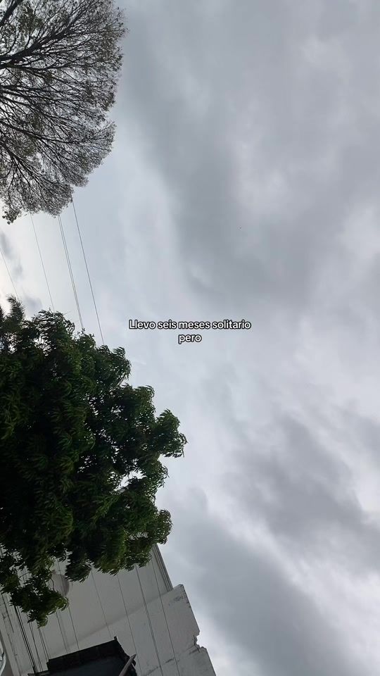 TikTok video thumbnail by fraseh7