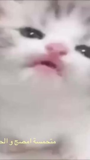 TikTok video thumbnail by wlwlwlwlwlloa