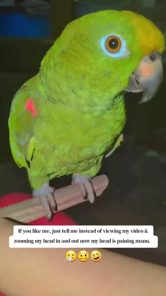 TikTok video thumbnail by lucky__bby