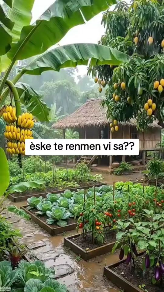 TikTok video thumbnail by ernsolaurissaint
