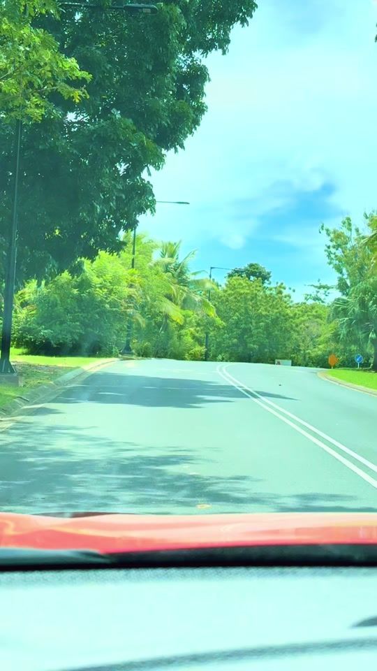 TikTok video thumbnail by lewaannie5