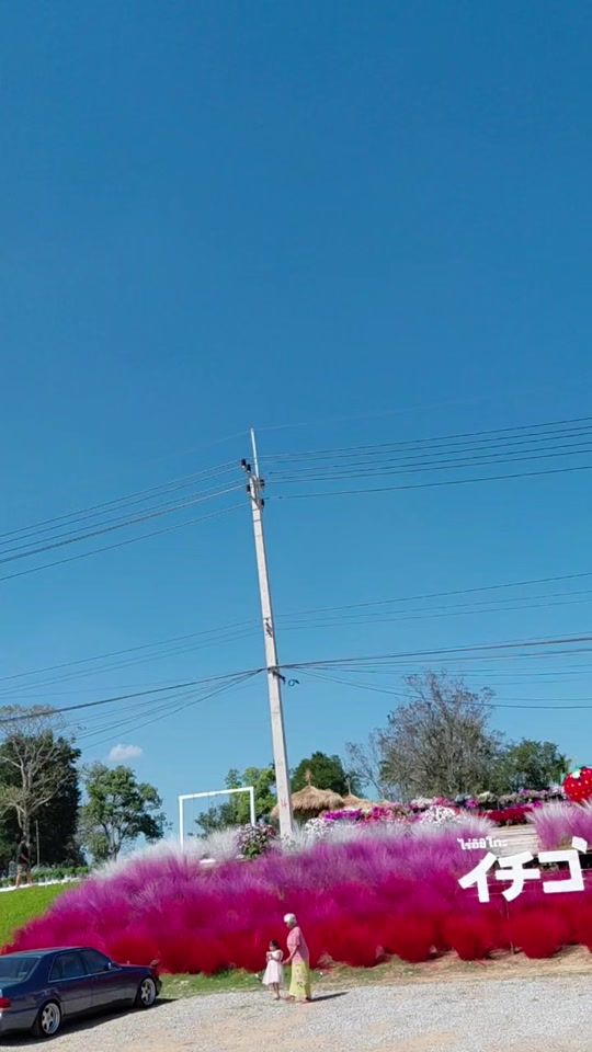 TikTok video thumbnail by buleamorn