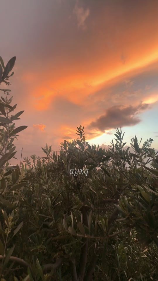 TikTok video thumbnail by ayxq