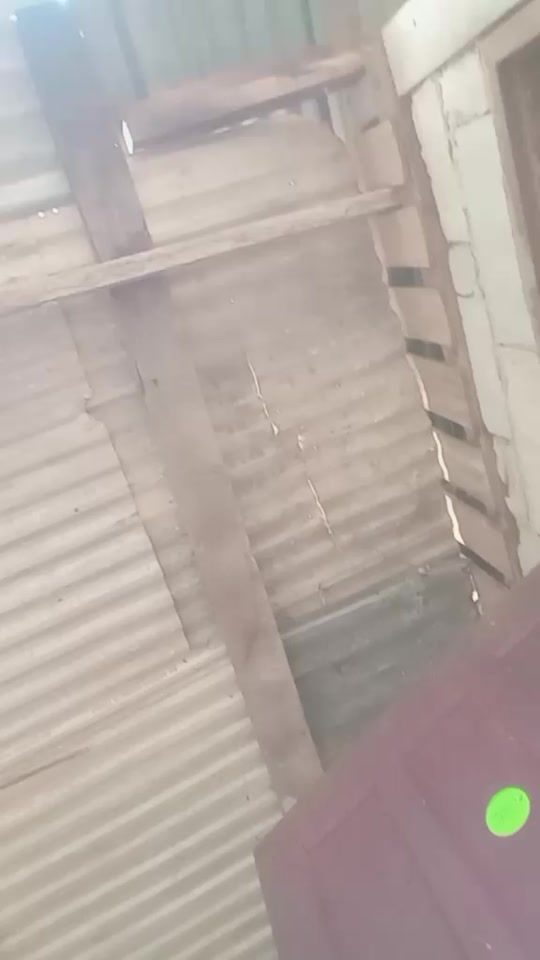 TikTok video thumbnail by xeing_2001