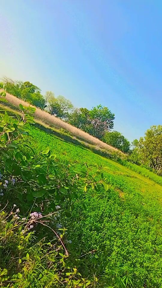 TikTok video thumbnail by inf7204811