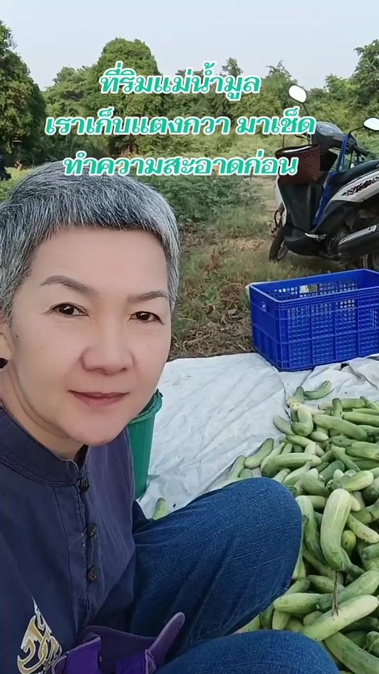 TikTok video thumbnail by ngarmpimput.leeladham