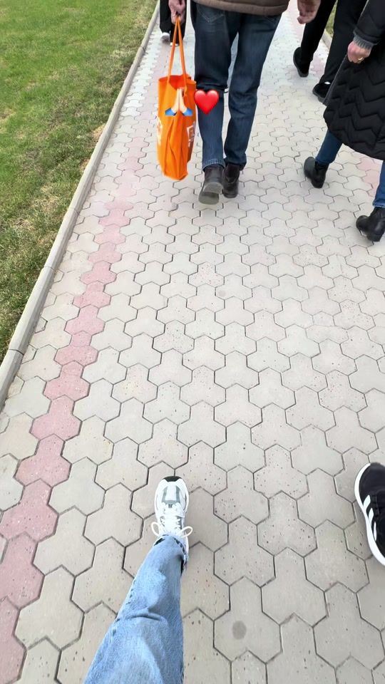 TikTok video thumbnail by lavinush01