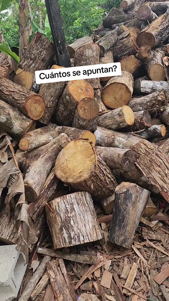 TikTok video thumbnail by deyvy111