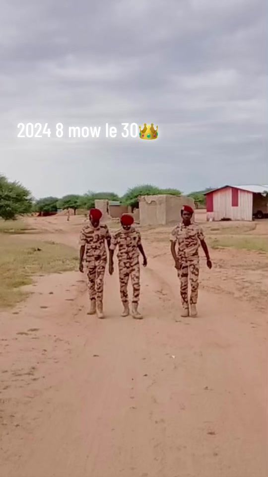 TikTok video thumbnail by chigerabour1