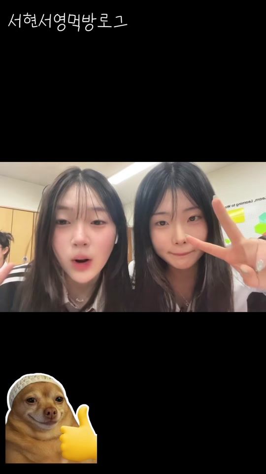 TikTok video thumbnail by seohyun_1404