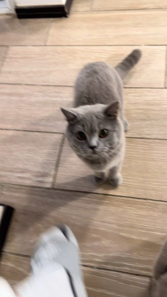 TikTok video thumbnail by d.gerardo_