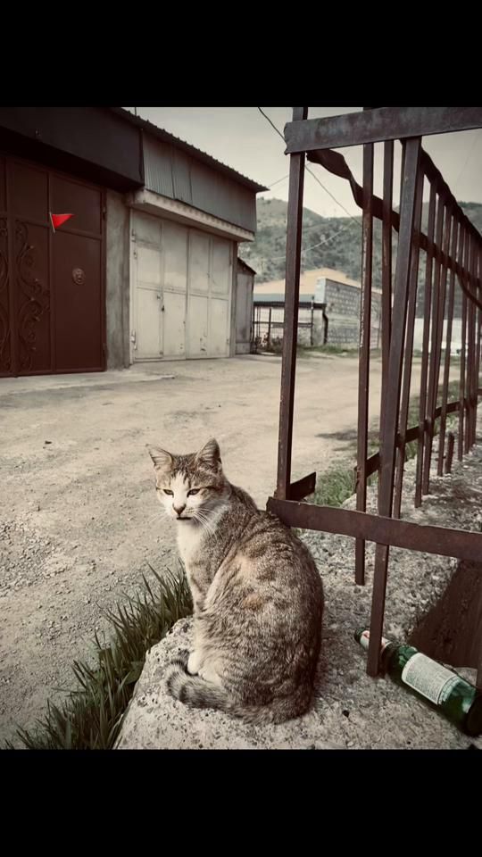 TikTok video thumbnail by _s._a._x._d.__r_a_a_d_