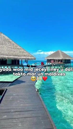TikTok video thumbnail by binnei_bee