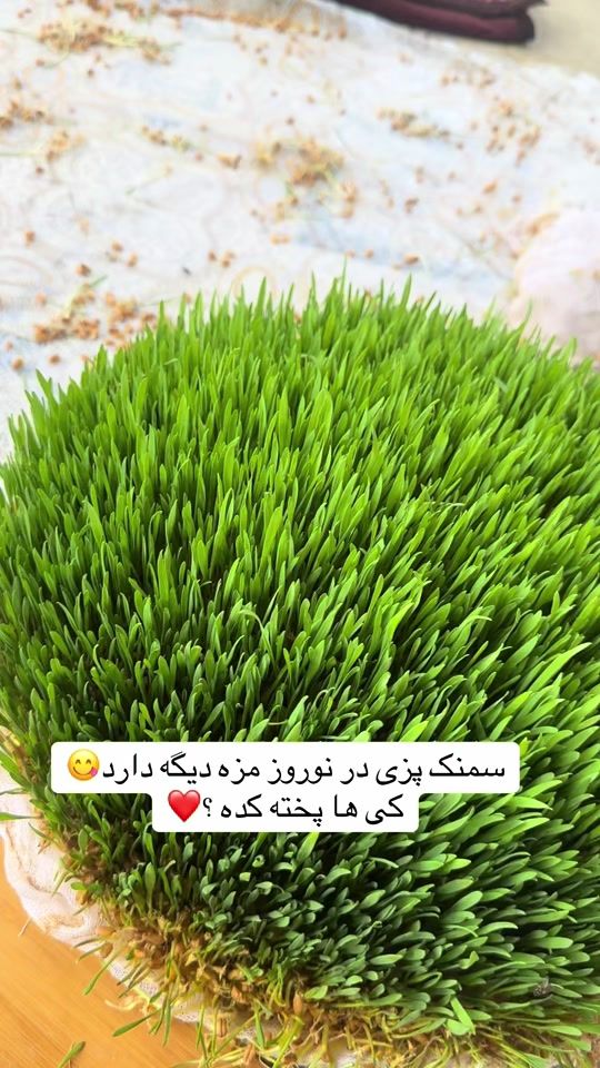 TikTok video thumbnail by afg_tamooa20