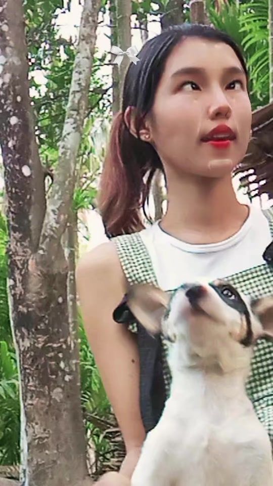 TikTok video thumbnail by user99dfczu6d5ff