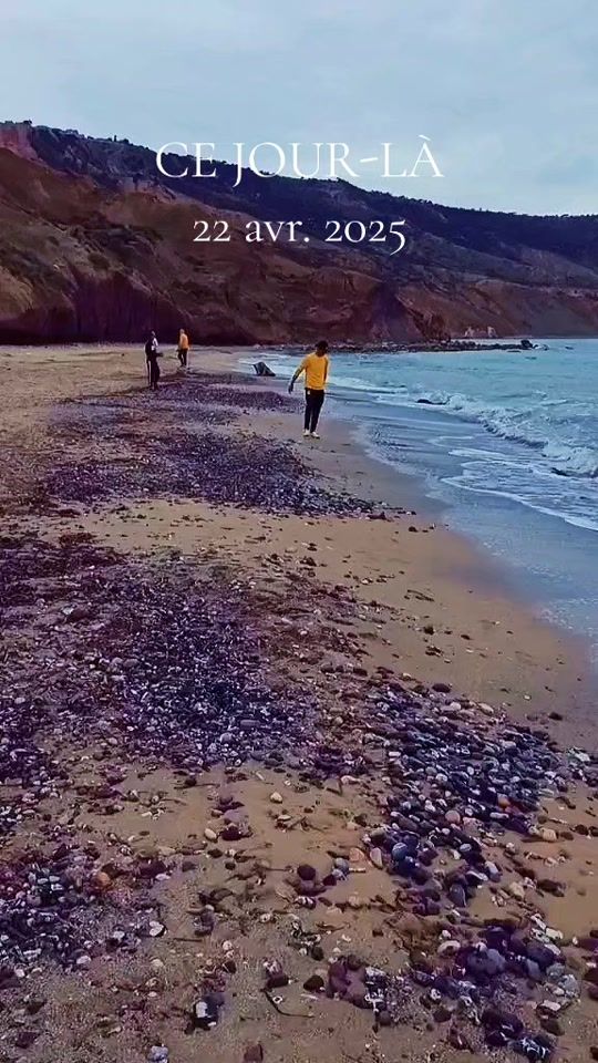 TikTok video thumbnail by houarigentleman4
