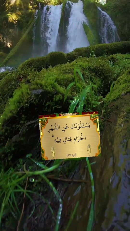 TikTok video thumbnail by user853732072