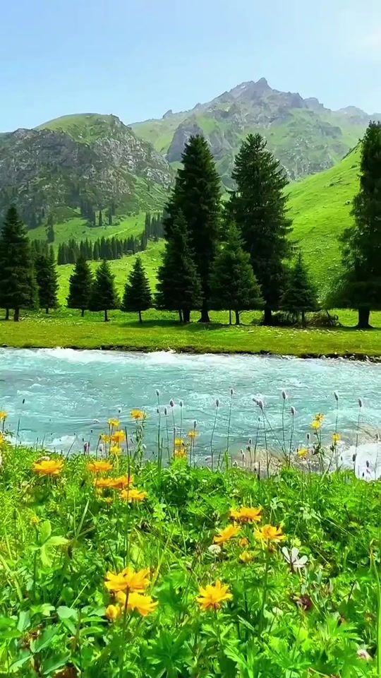 TikTok video thumbnail by kh.khan1968