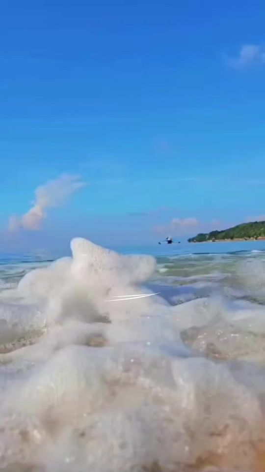 TikTok video thumbnail by butterflybloom_739