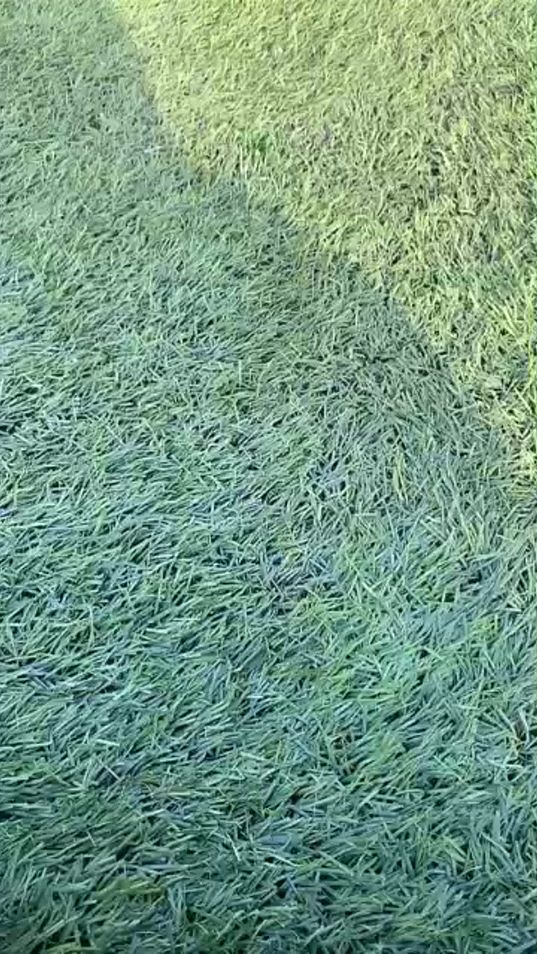 TikTok video thumbnail by minguetkd