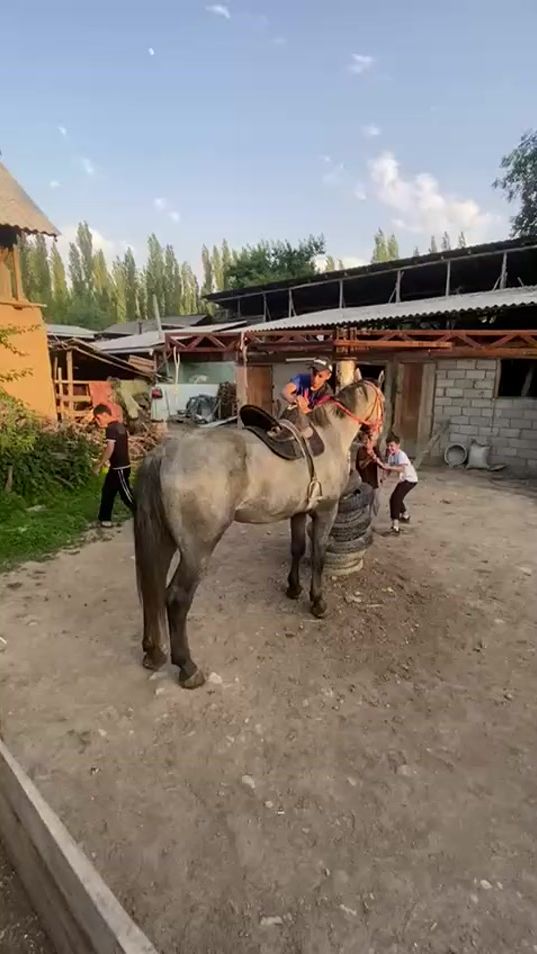 TikTok video thumbnail by te.mur7263