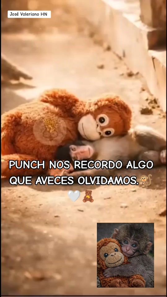 TikTok video thumbnail by josevalerianohn