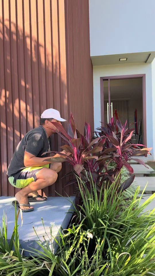 TikTok video thumbnail by mateusang