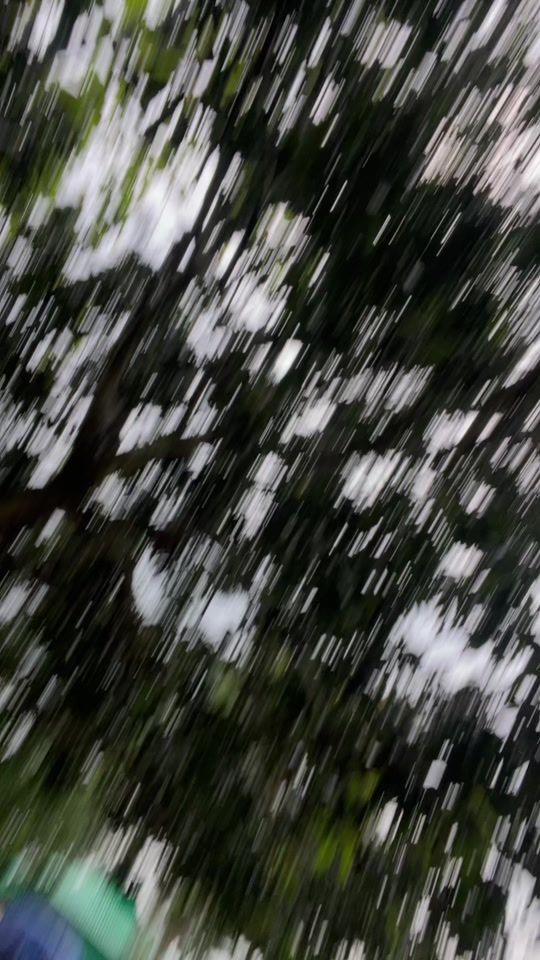 TikTok video thumbnail by mdtayjul52