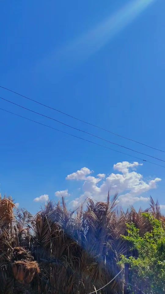 TikTok video thumbnail by ms__pff