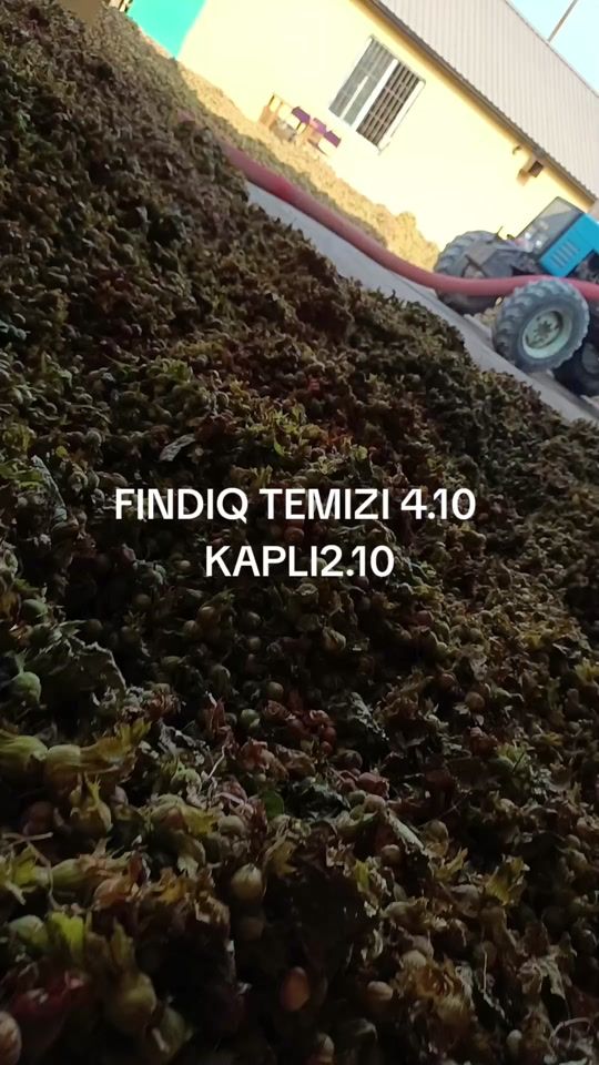 TikTok video thumbnail by esker393
