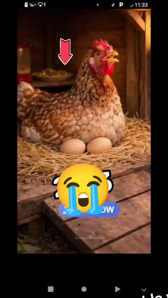 TikTok video thumbnail by user54933121790793