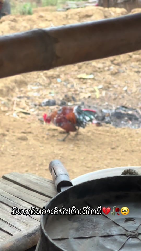 TikTok video thumbnail by alee.98054479