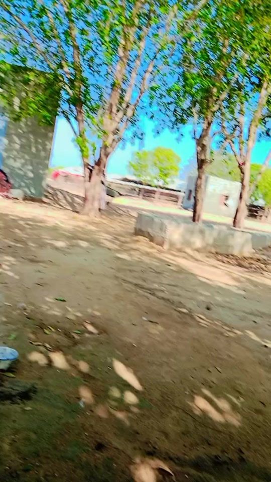 TikTok video thumbnail by dear.dhatti0