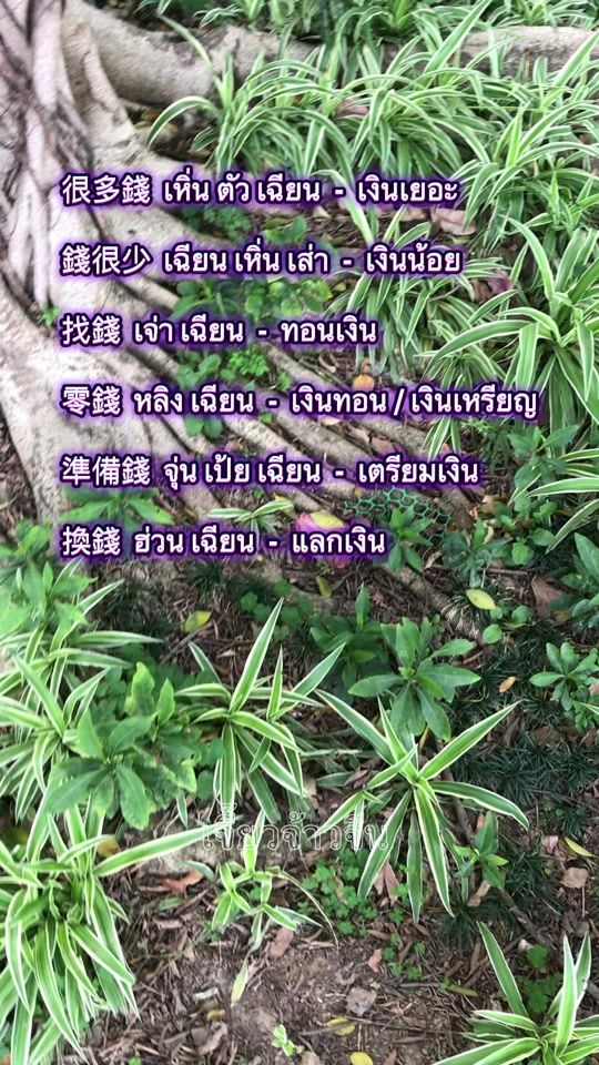 TikTok video thumbnail by jiawjaochinese