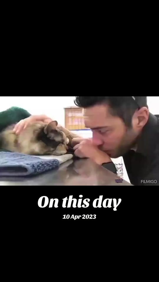 TikTok video thumbnail by z_ryder2
