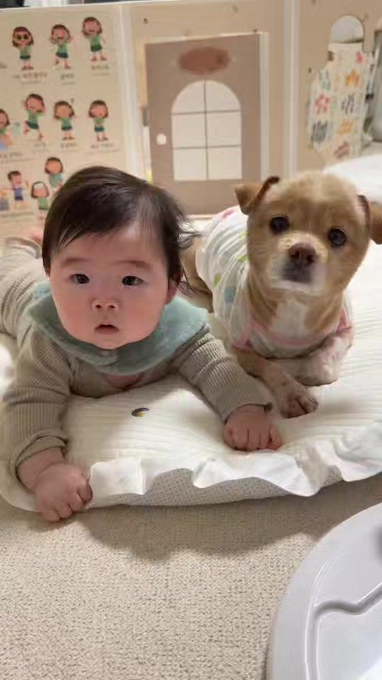 TikTok video thumbnail by montanee3