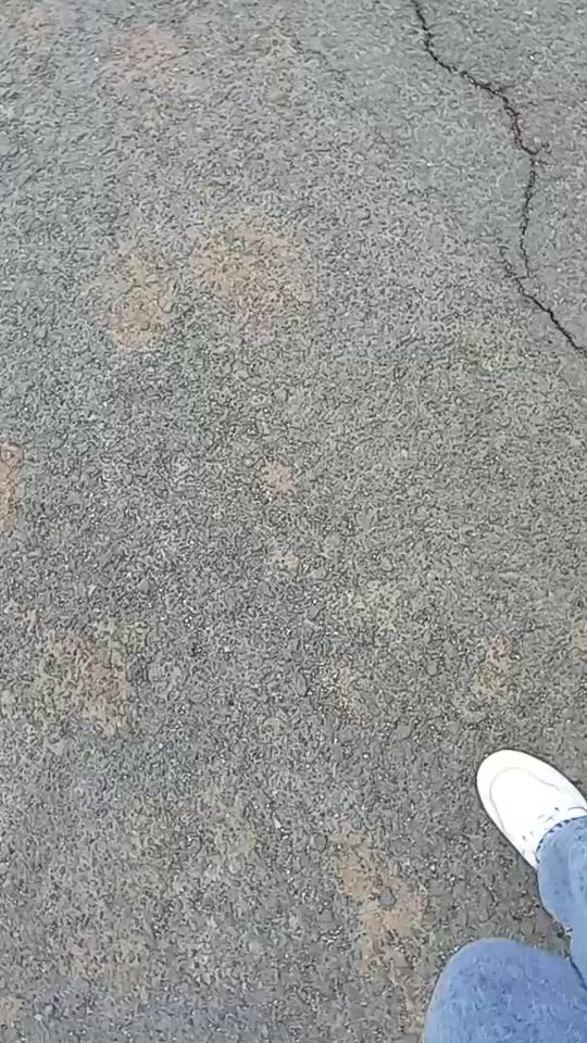 TikTok video thumbnail by kerlly.diana.sant