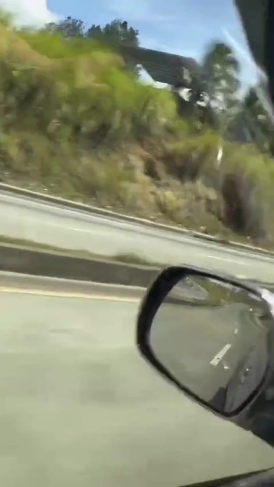 TikTok video thumbnail by davidjoeles