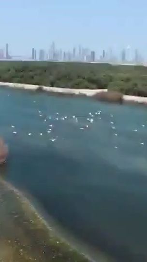 TikTok video thumbnail by ra9884