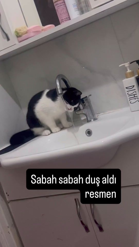 TikTok video thumbnail by sukran10611
