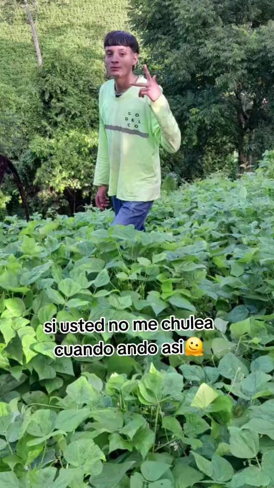 TikTok video thumbnail by josuepolibera