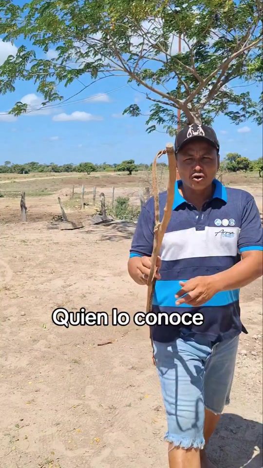 TikTok video thumbnail by ricardonu1