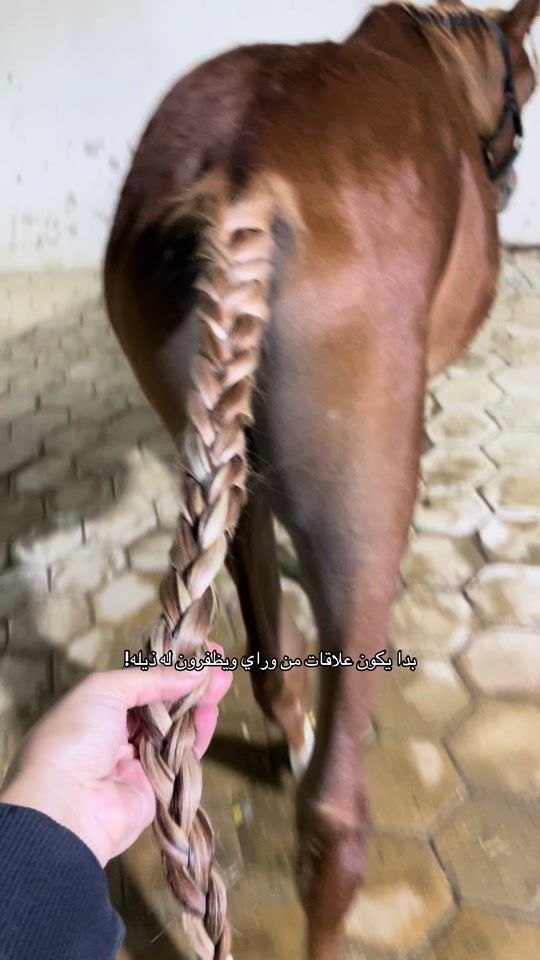 TikTok video thumbnail by _nomaz
