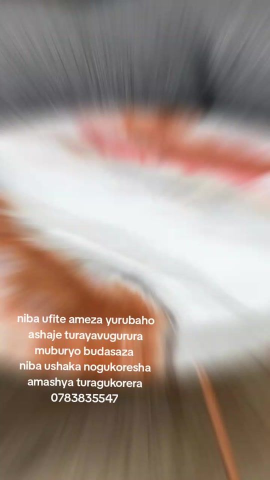 TikTok video thumbnail by danapusia1