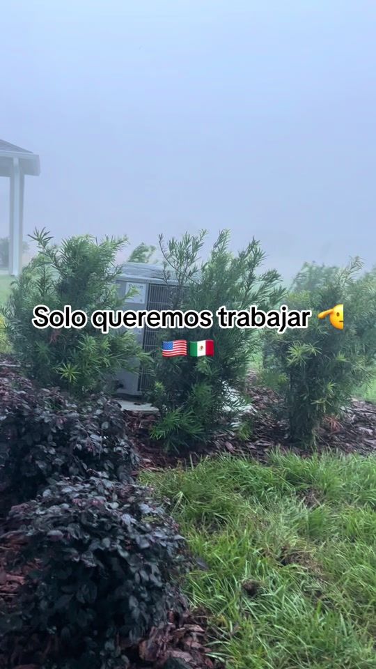 TikTok video thumbnail by jorg3mc12