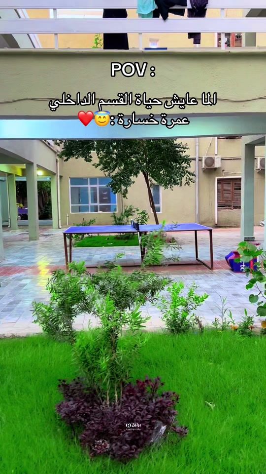 TikTok video thumbnail by ttt4n