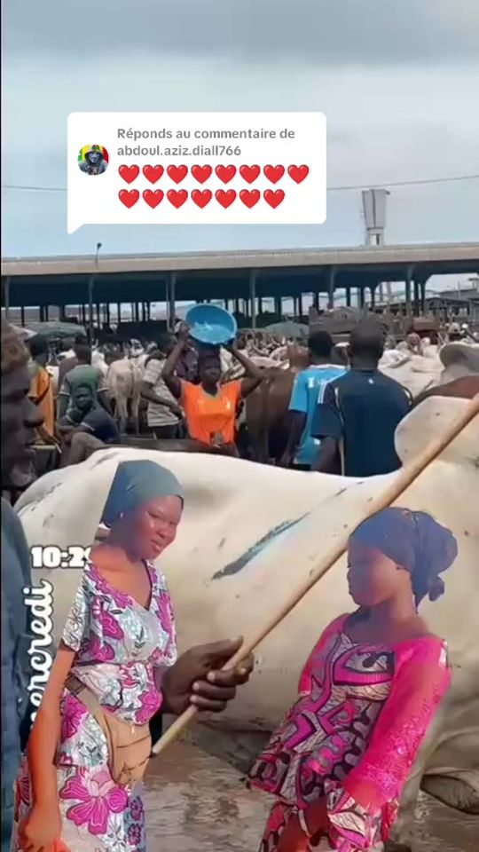 TikTok video thumbnail by sarahtraore5253