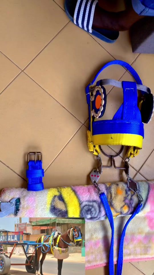 TikTok video thumbnail by bayoupgoor