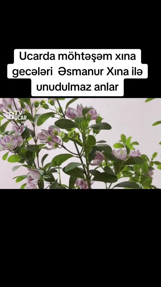TikTok video thumbnail by ucar_es